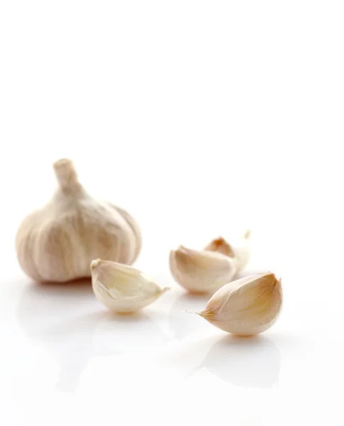 Frischer Bio-Knoblauch isoliert auf weißen selektiven Fokus. — Stockfoto