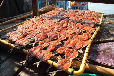 Tuzlu balık doğal kurutma