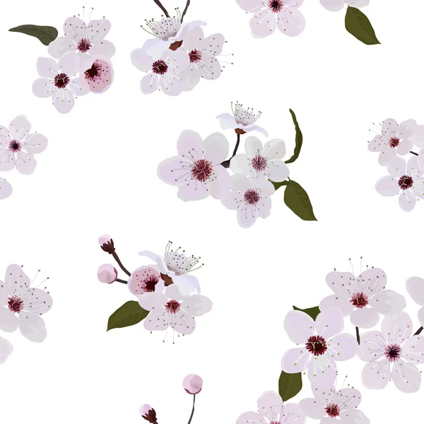 Almond flower pattern — Stock Vector