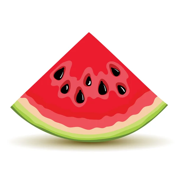 Fresh slice of watermelon — Stock Vector