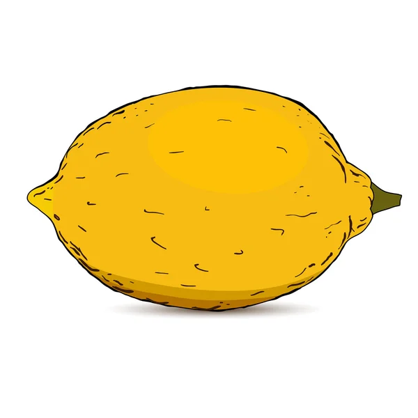 Vector illustratie citroen — Stockvector