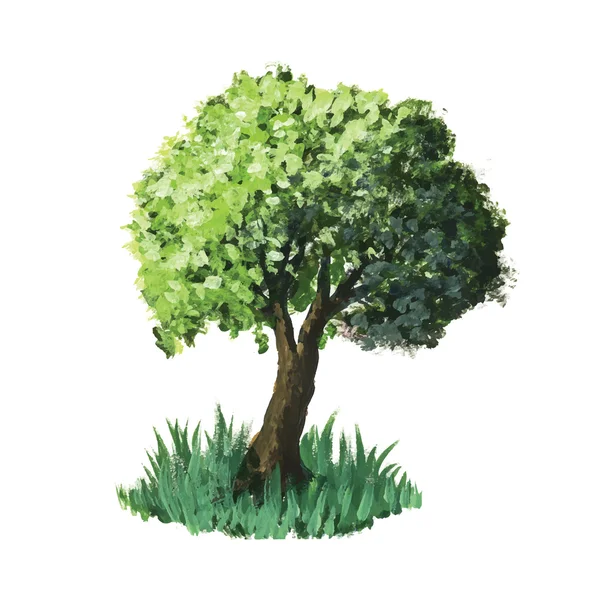 Árbol vectorial acuarela — Vector de stock