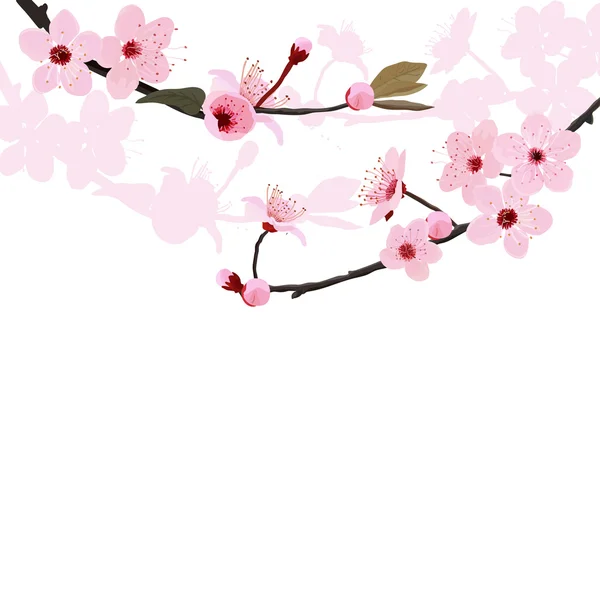 Flower tree background — Stock Vector
