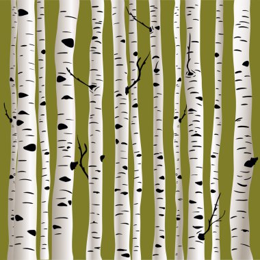 Birches vektör