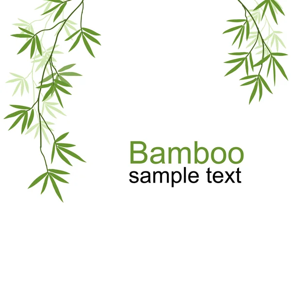 Rami di bambù verde — Vettoriale Stock