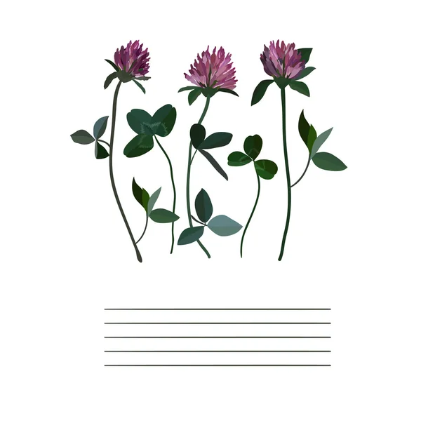 Cuaderno de flores de trébol — Archivo Imágenes Vectoriales