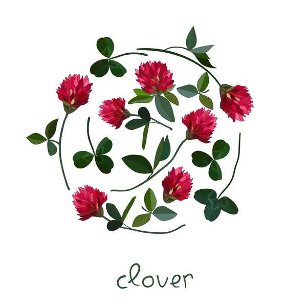 Cartão floral vetorial — Vetor de Stock