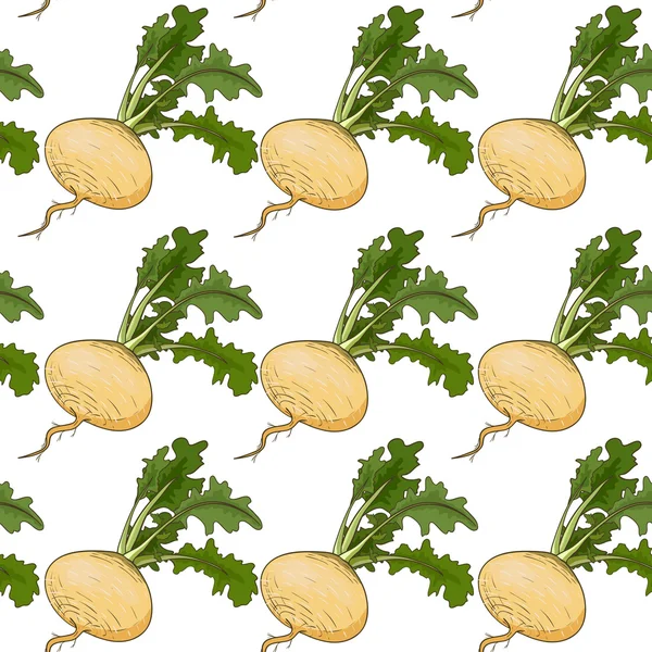 Turnip pattern — Stock Vector