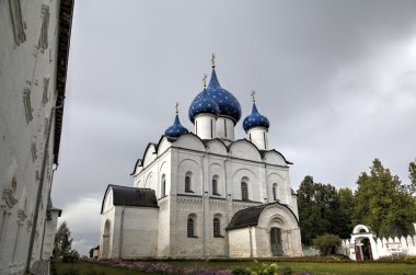 Suzdal Kremlin görünümünü: bakire Nativity katedral. Suzdal, Rusya'nın altın yüzük.