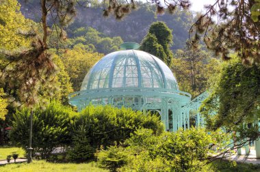 Ağaç ile Galeri Borjom-Kharagauli Milli Parkı'nda. Borjomi, Gürcistan