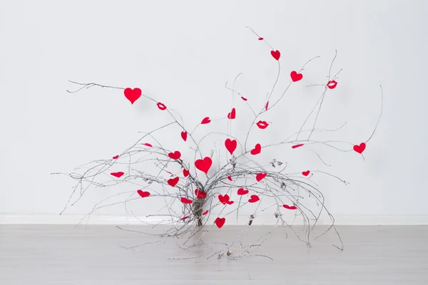 Piros szív lóg egy fa ága. Valentin-nap — Stock Fotó