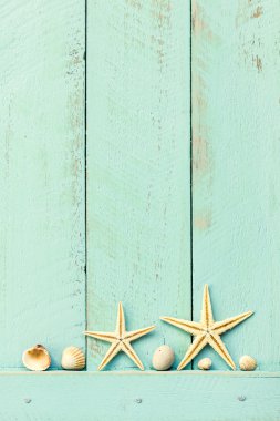 deniz kabuklarını ve metin için yer ile yaz arka plan