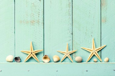 deniz kabuklarını ve metin için yer ile yaz arka plan