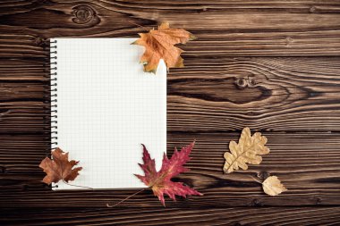 boş dekontları için sonbahar arka plan