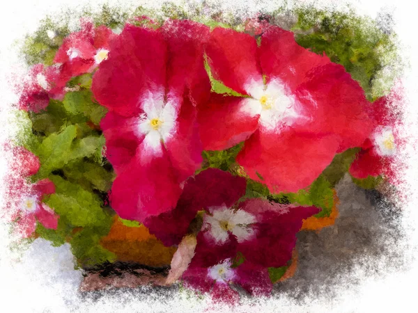 Színes piros virág, akvarell festészet — Stock Fotó