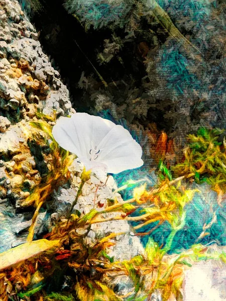 Digital painting of a white flower in the rock - painting effect