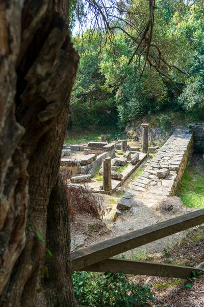 Mon Repos Parkı Ndaki Doric Tapınağının Kalıntıları Korfu Kasabası Yunanistan — Stok fotoğraf