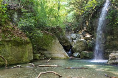Yunanistan 'daki Pelion Ormanında Şelale