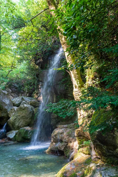 Cascada Bosque Pelion Grecia — Foto de Stock