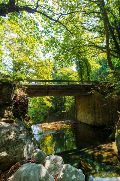Puente Apedreado Pelion Forest Grecia — Foto de Stock