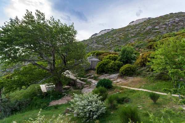 Orthodox Monastery Saints Asomatos Penteli Mountain North Athens Greece — Stock Photo, Image