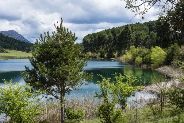 Blue Lake in the mountains — Stock Photo, Image