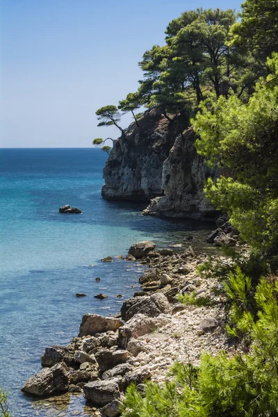 Beach of alonissos, Greece — Stock Photo, Image