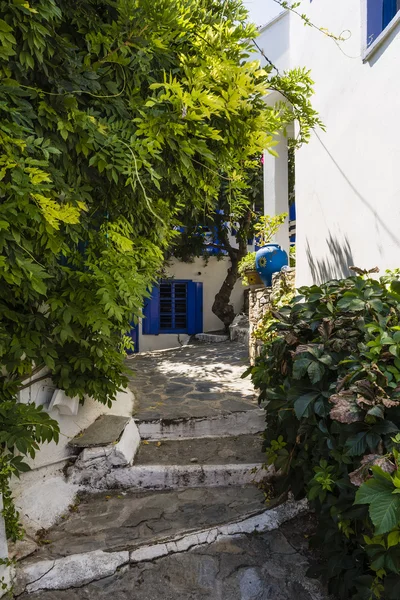 Calle de isla griega Alonissos — Foto de Stock