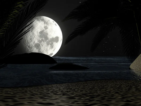 Tropical Beach v noci Moonlight, s palmami. — Stock fotografie