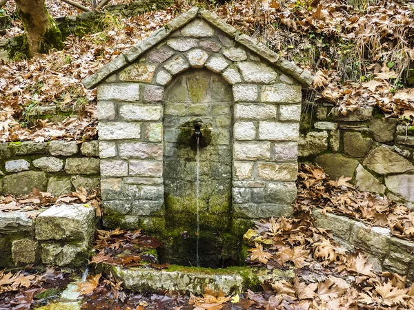 Каменный питьевой фонтан в лесу — стоковое фото