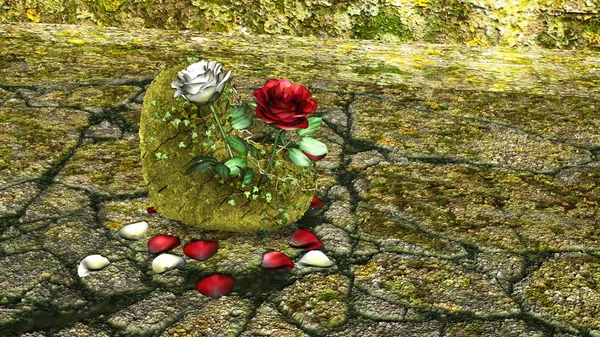 심장 모양의 바위 레드와 화이트 장미 배경 위에 바위 — 스톡 사진