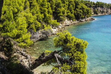 Rocky plaj alonissos, Yunanistan