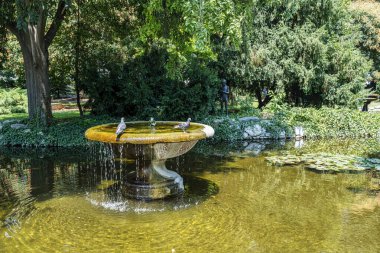 Filibe 'deki Çar Simeon Garden' daki huzur dolu park sahnesinde güvercinler ve flüt çalan bir çocuk heykeli yer alıyor..