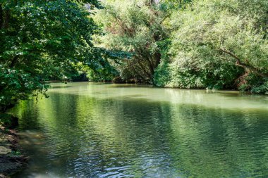 Serene river scenes from Rusenski Lom Park in Bulgaria, showing lush tree canopies, calm flowing water, and natural wilderness.