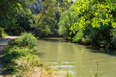 Bulgaristan 'ın Rusenski Lom Parkı' ndan sakin nehir manzaraları, gür ağaç tepe örtülerini, sakin akan suları ve doğal doğayı gösteriyor.