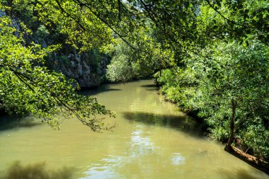 Bulgaristan 'ın Rusenski Lom Parkı' ndan sakin nehir manzaraları, gür ağaç tepe örtülerini, sakin akan suları ve doğal doğayı gösteriyor.