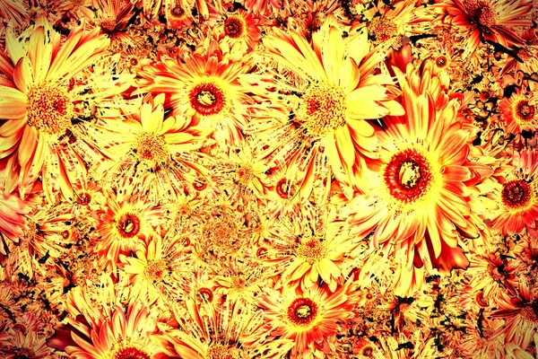 Piros sárga virágok — Stock Fotó