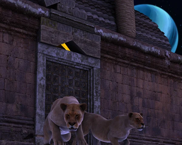 Guardian leeuwen van een oude fantasie tempel — Stockfoto