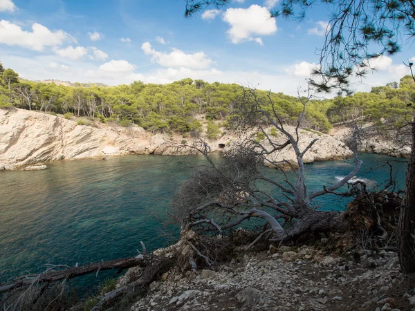 Strand Mallorcán — Stock Fotó