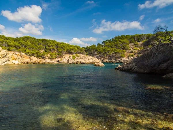 Παραλία στη Μαγιόρκα — Φωτογραφία Αρχείου