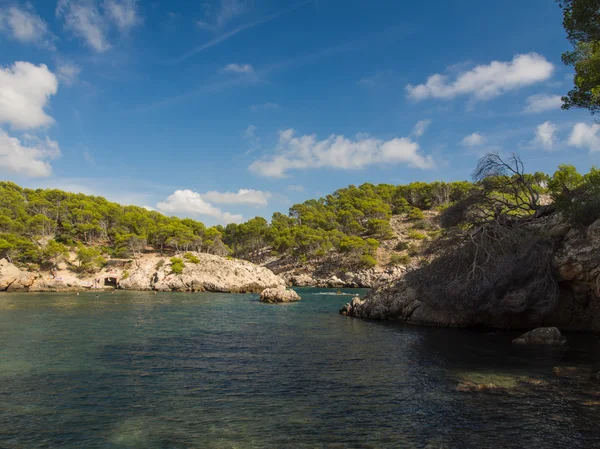 A Baleár-szigetek, Mallorca gyönyörű partja — Stock Fotó