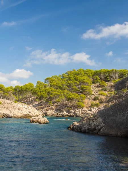 Pláž v Mallorca — Stock fotografie