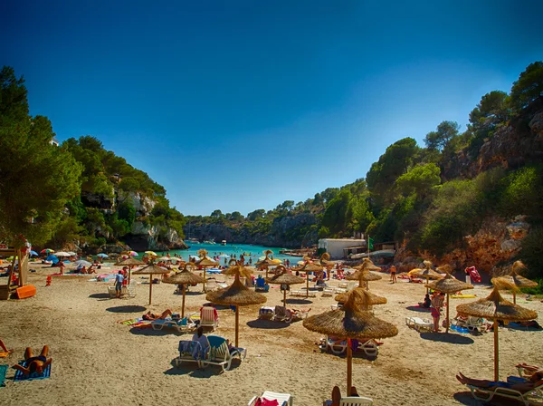 Mayorka Beach'de