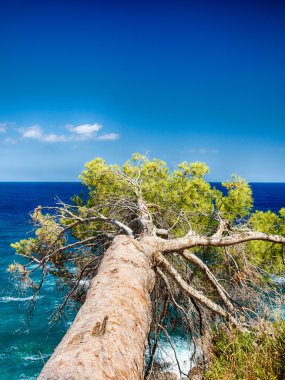 Mallorca kıyı şeridi