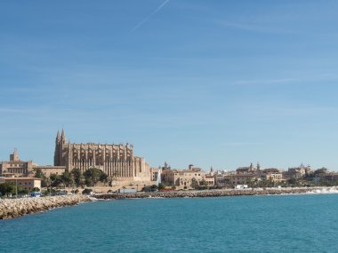 Palma katedralde