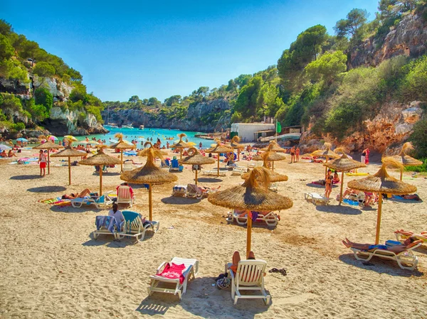 Mayorka Beach'de