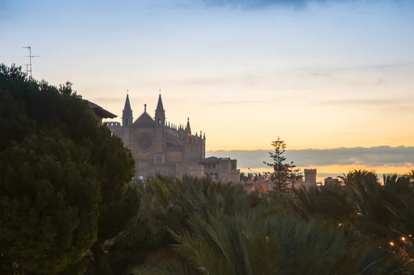 Cathedral of Mallorca during the Sunrise — Stock Photo, Image
