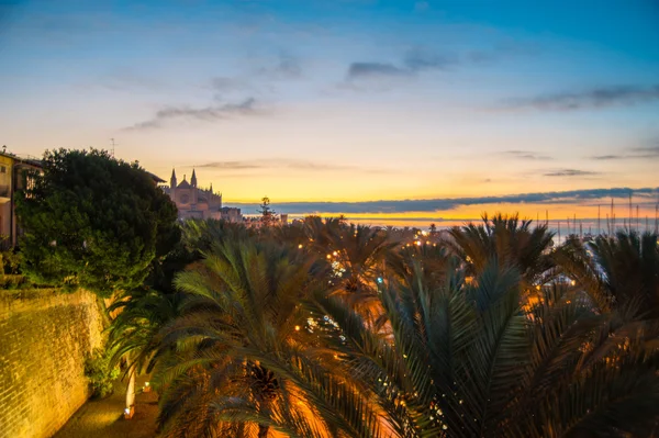 Catedral de Mallorca durante el amanecer — Foto de Stock