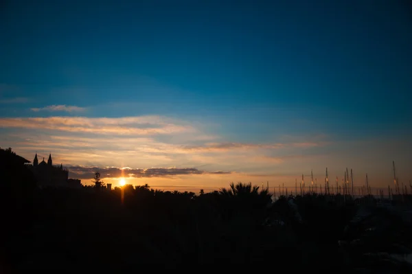 일출 동안 마요르카의 대성당 — 스톡 사진