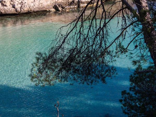 Mayorka bir plaj temiz deniz